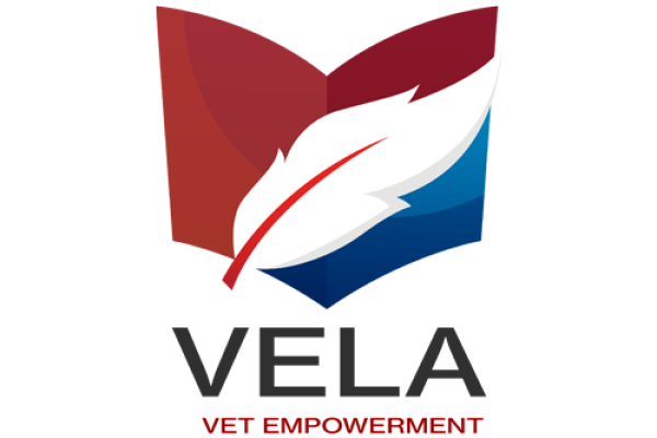 vela-logo-news